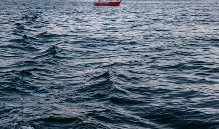 Red Terapéutica Integrada